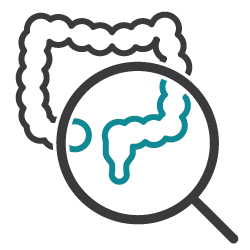 colorectal screening