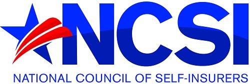 NCSI logo